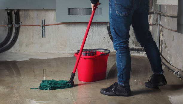 Understanding Water Damage Restoration in Houston
