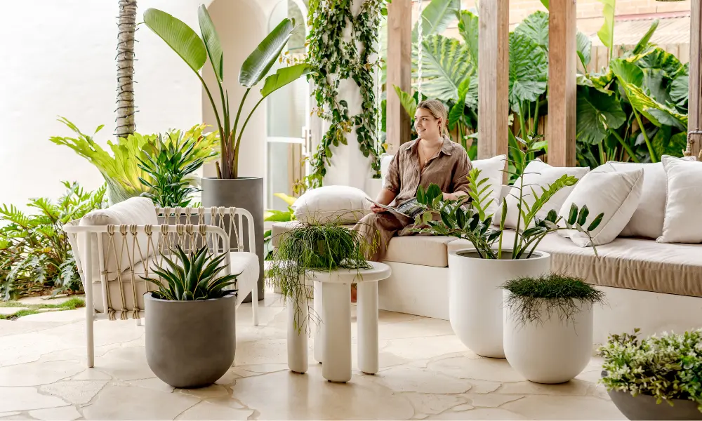 How to Choose Planter Pots for Your Home? Planter pots